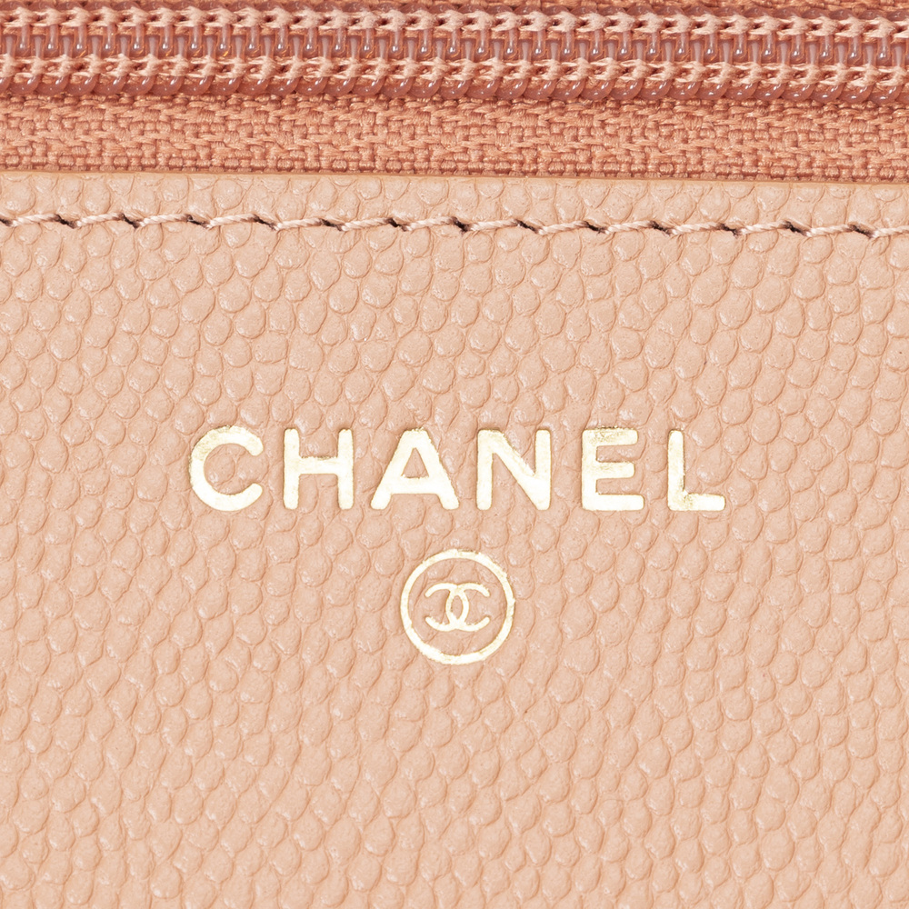 Chanel Ancient Greek Charms Wallet on Chain - Picture 10 of 12
